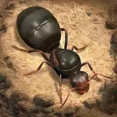 تحميل لعبة The Ants: Underground Kingdom مهكرة 2027 أخر إصدار APK مجاناً